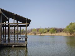 -溱湖国家湿地公园