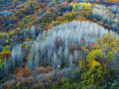 -玉渡山自然风景区