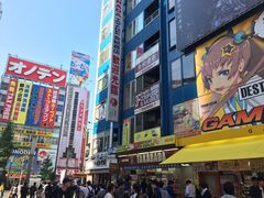 -秋叶原电器街