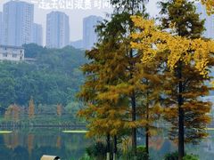 -重庆彩云湖湿地公园