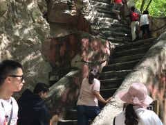 -北京上方山国家森林公园
