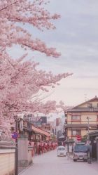 -花师傅