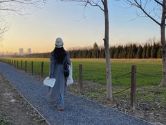 -汉长安城未央宫国家考古遗址公园