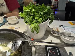 皇帝菜-百年果林椰子鸡(中洲店)