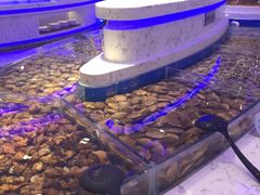 -澜悦港海鲜体验主题餐厅