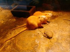 -洛阳龙门海洋馆