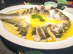 清蒸鲈鱼-北平盛世·新京菜·北京烤鸭(劲松·双井店)
