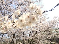 -江南大学(蠡湖校区)