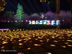 景点-天适樱花悠乐园