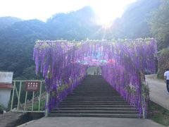 -尧山风景区