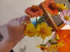 -九如山休闲旅游度假区