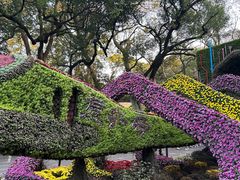 -杭州植物园
