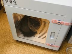 -芭比堂宠物医院·全科爱猫医院·仁德分院