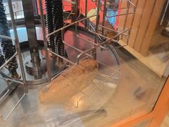 -永泰福朋喜来登酒店-宜客乐自助餐厅(远大路店)