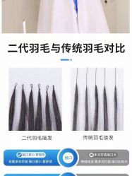 -YESIDO椰岛造型