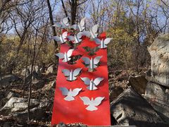 -阳台山自然风景区