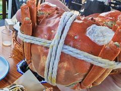 -丫丫蟹庄·苏式园林农家乐·阳澄湖大闸蟹(阳澄湖莲花岛店)