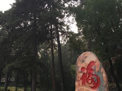 -北京鹫峰国家森林公园