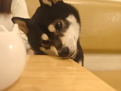 -柴の食堂·日式家庭料理·熊之肆(大学路店)