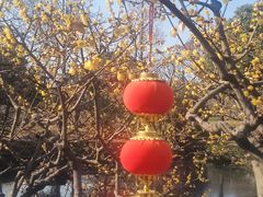 -无锡梅园公园