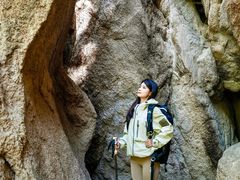 -大岭沟猕猴桃谷风景区