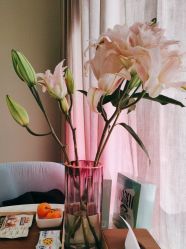 -奥本科技美肤·养生SPA