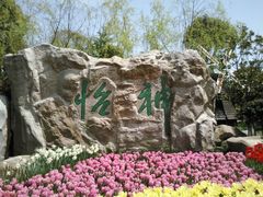 -上海鲜花港