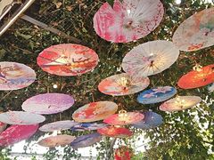 -海韵人家.海景花园经典云南菜(双廊店)