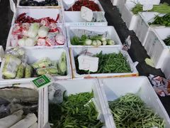-新鸿港水果市场