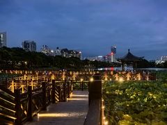 -南宁南湖公园