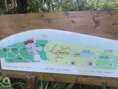 -成都市活水公园