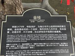-皇藏峪国家森林公园