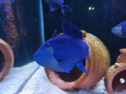 点击看大图 -Zoolung Zoolung动物主题公园(海信广场店)