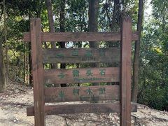 -火炉山森林公园