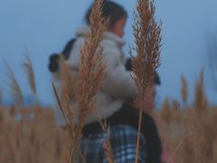 -盐城丹顶鹤湿地生态旅游区
