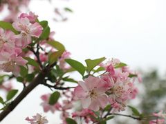 -白鹭湾湿地公园