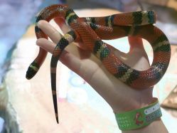 -酷嗒动物文化乐园(cutezoo西溪乐天城店)