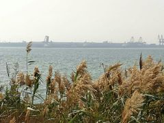 -东疆建设开发纪念公园