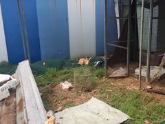 -白塘生态植物园