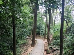 -凤栖山