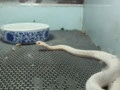-上海大自然野生昆虫馆