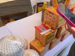 -润园四季椰子鸡火锅(海上世界店)