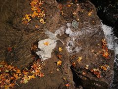 -中关村生命科学园