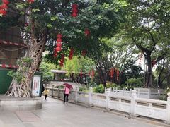 -荔湾湖公园