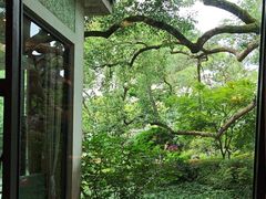 -浙江西子宾馆·瑶园咖啡厅