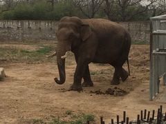 iphone_upload_pic-西安秦岭野生动物园