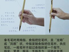 -阿妮亚少儿美术书法(望京店)