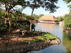 -清迈夜间动物园