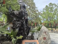 -大槐树寻根祭祖园