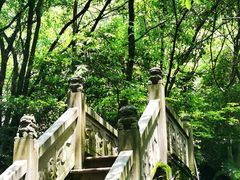 -宁波市保国寺古建筑博物馆